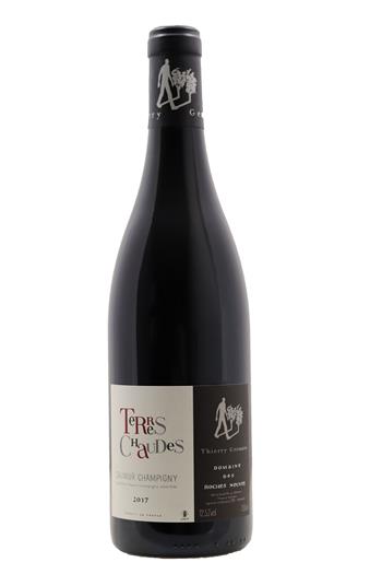 Terres Chaudes - Domaine des Roches Neuves 2017 - BIO