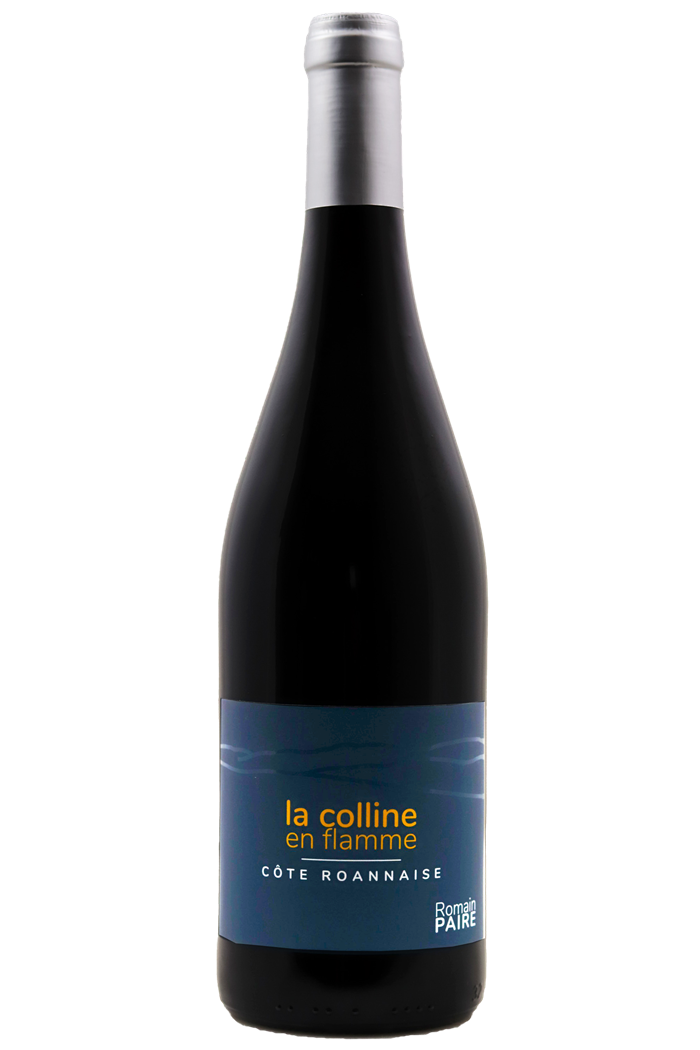 La Colline en Flamme - Domaine des Pothiers 2023 - BIO