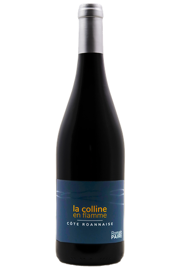 La Colline en Flamme - Domaine des Pothiers 2023 - BIO