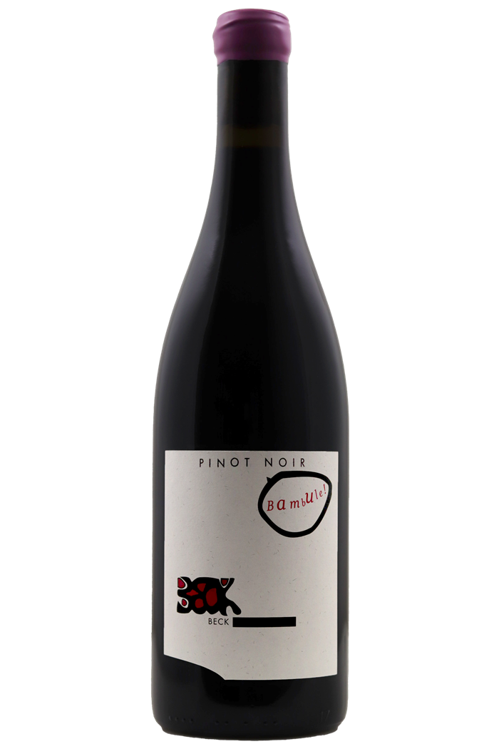 Pinot Noir Bambulé - Judith Beck 2021 - BIO