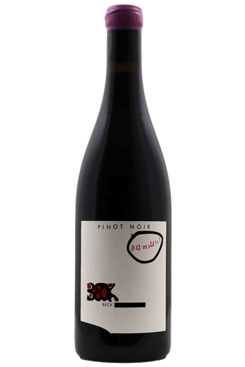 Pinot Noir Bambulé - Judith Beck 2021 - BIO