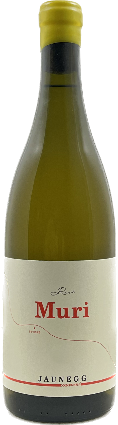 Sauvignon Blanc  Spiesz  - Weingut Jaunegg 2017